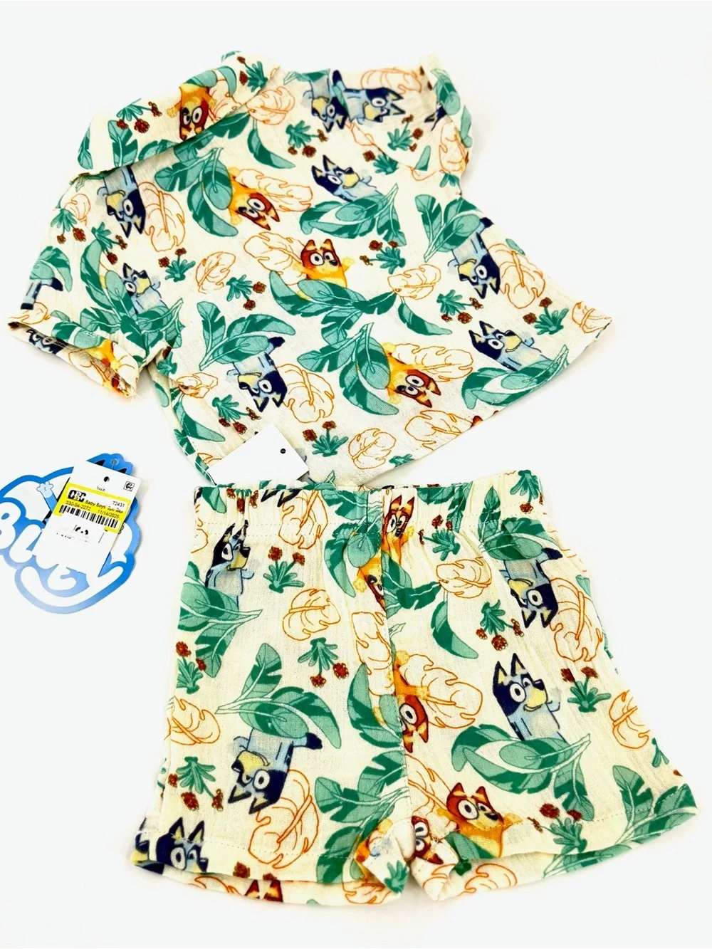 Disney adorable bluey